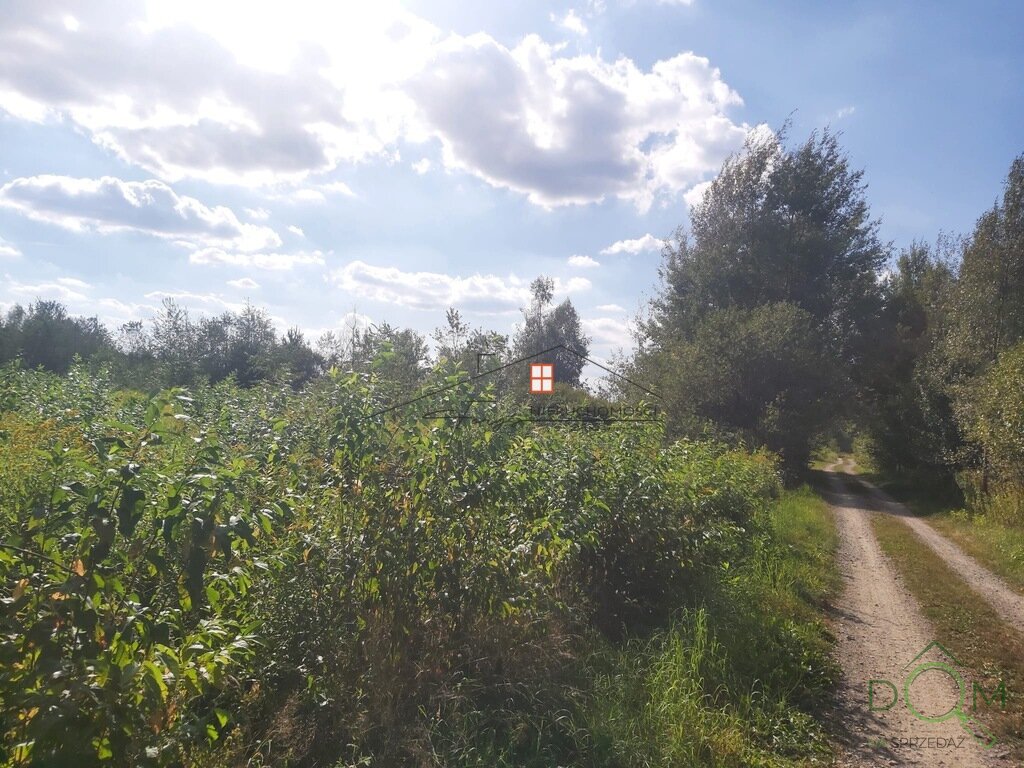 107391424.jpg
