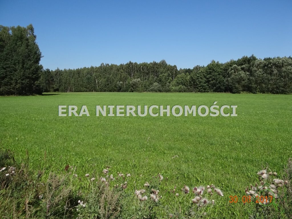 era_nieruchomosci_zs_ERA-GS-66_1.jpg
