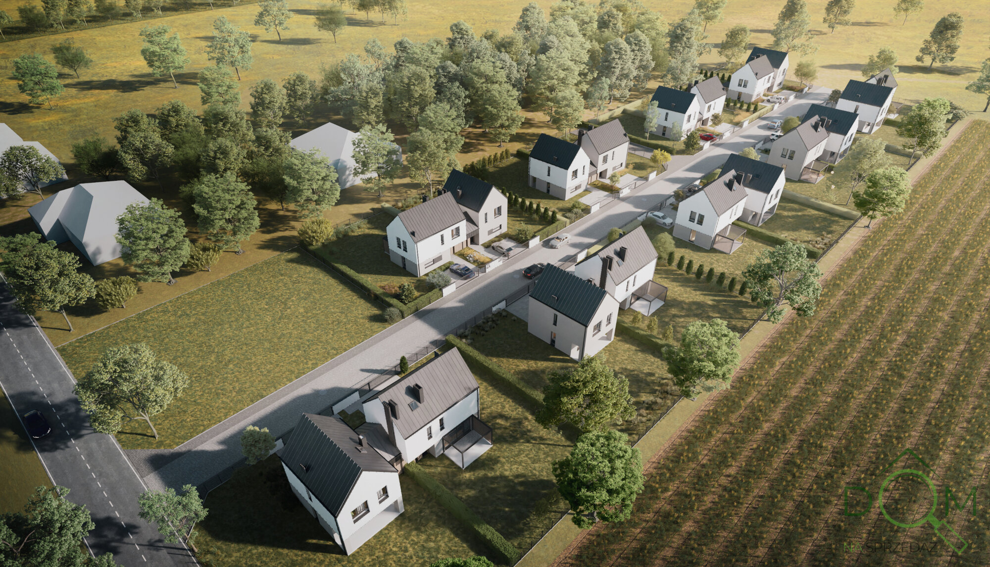 Asymetria prezentacja 2 .jpg