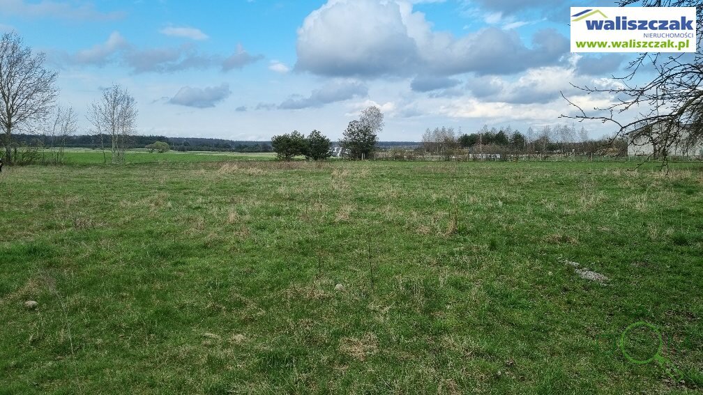 waliszczak_nieruchomosci_zs_GS-14104_1.jpg
