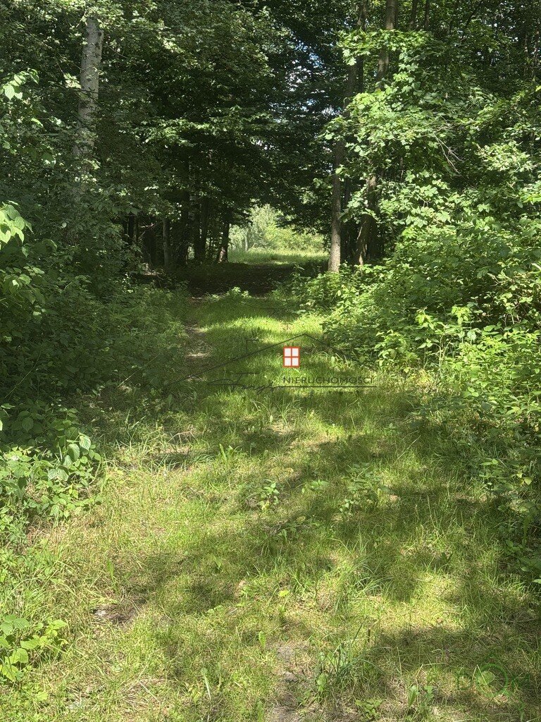 111455070.jpg