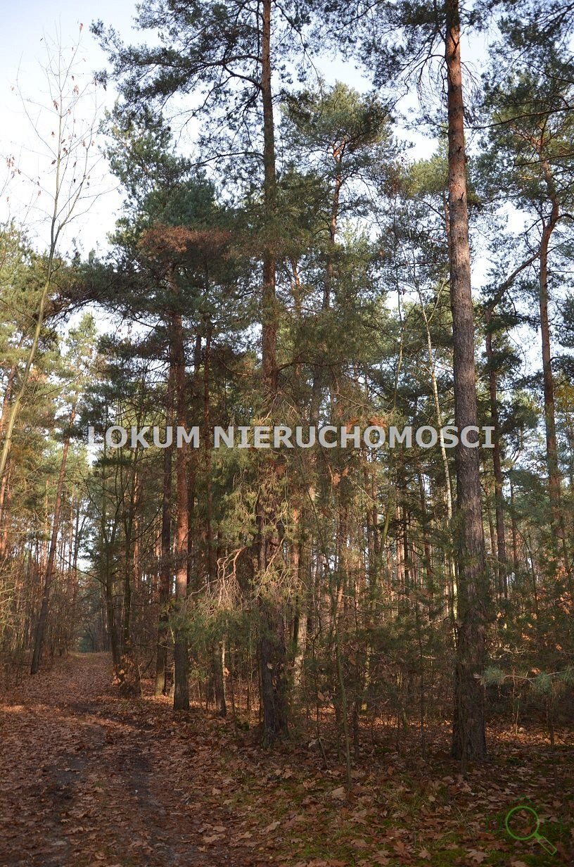 lokum_nieruchomosci_dt_zs_LOK-GS-1467_11.jpg