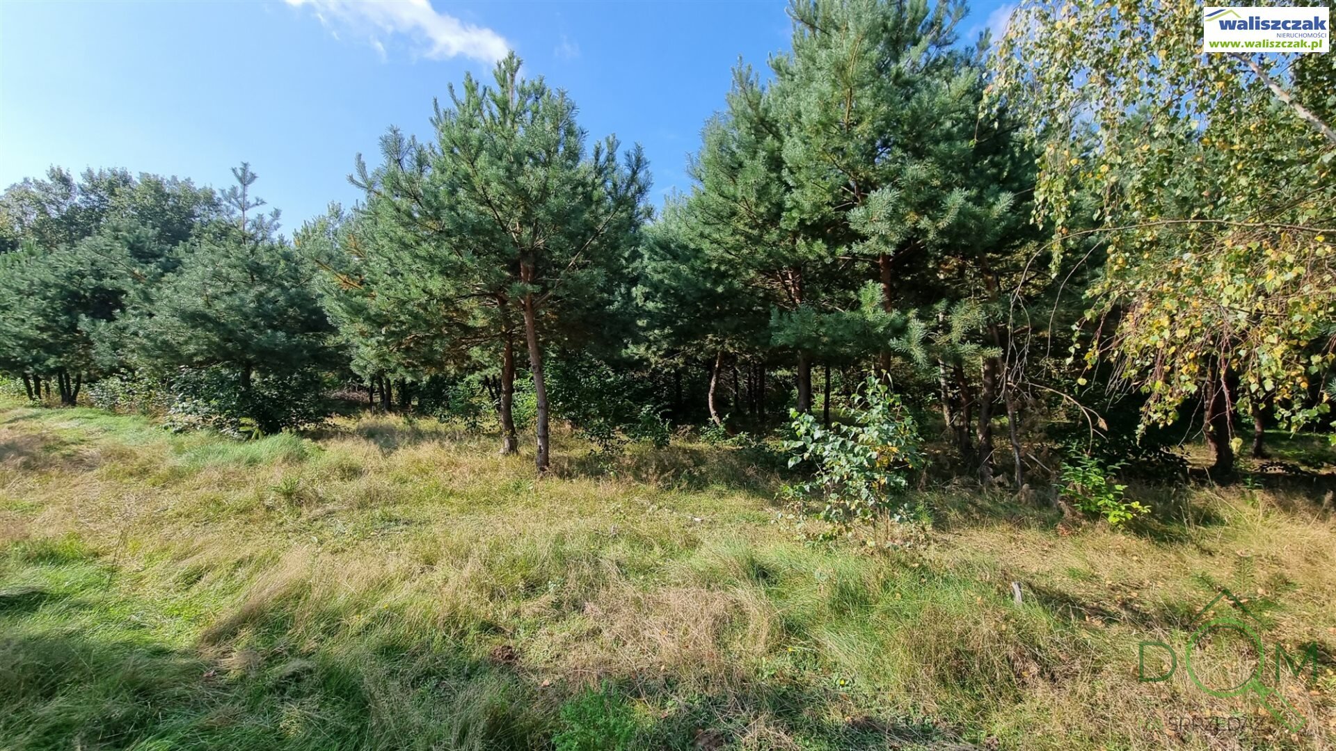 waliszczak_nieruchomosci_zs_GS-14640-4_2.jpg