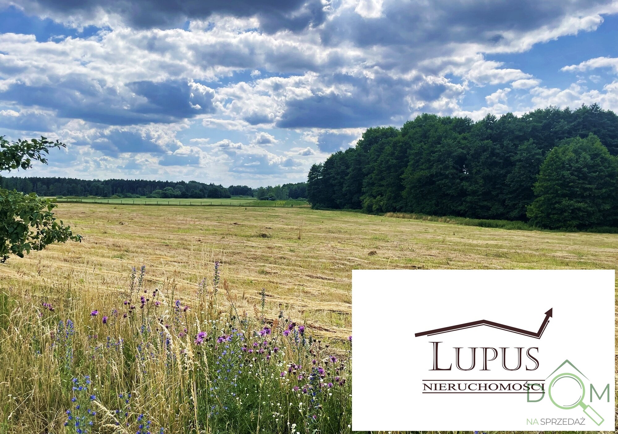 lupus_nieruchomosci_zs_2192_11.jpg