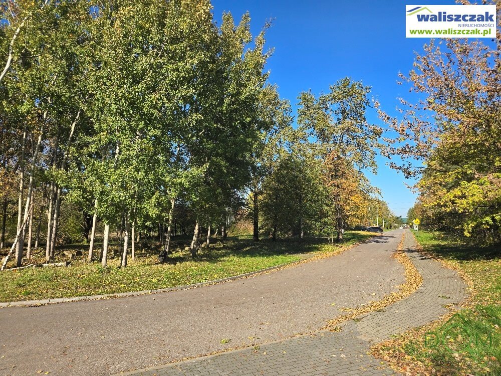 waliszczak_nieruchomosci_zs_GS-14738_3.jpg