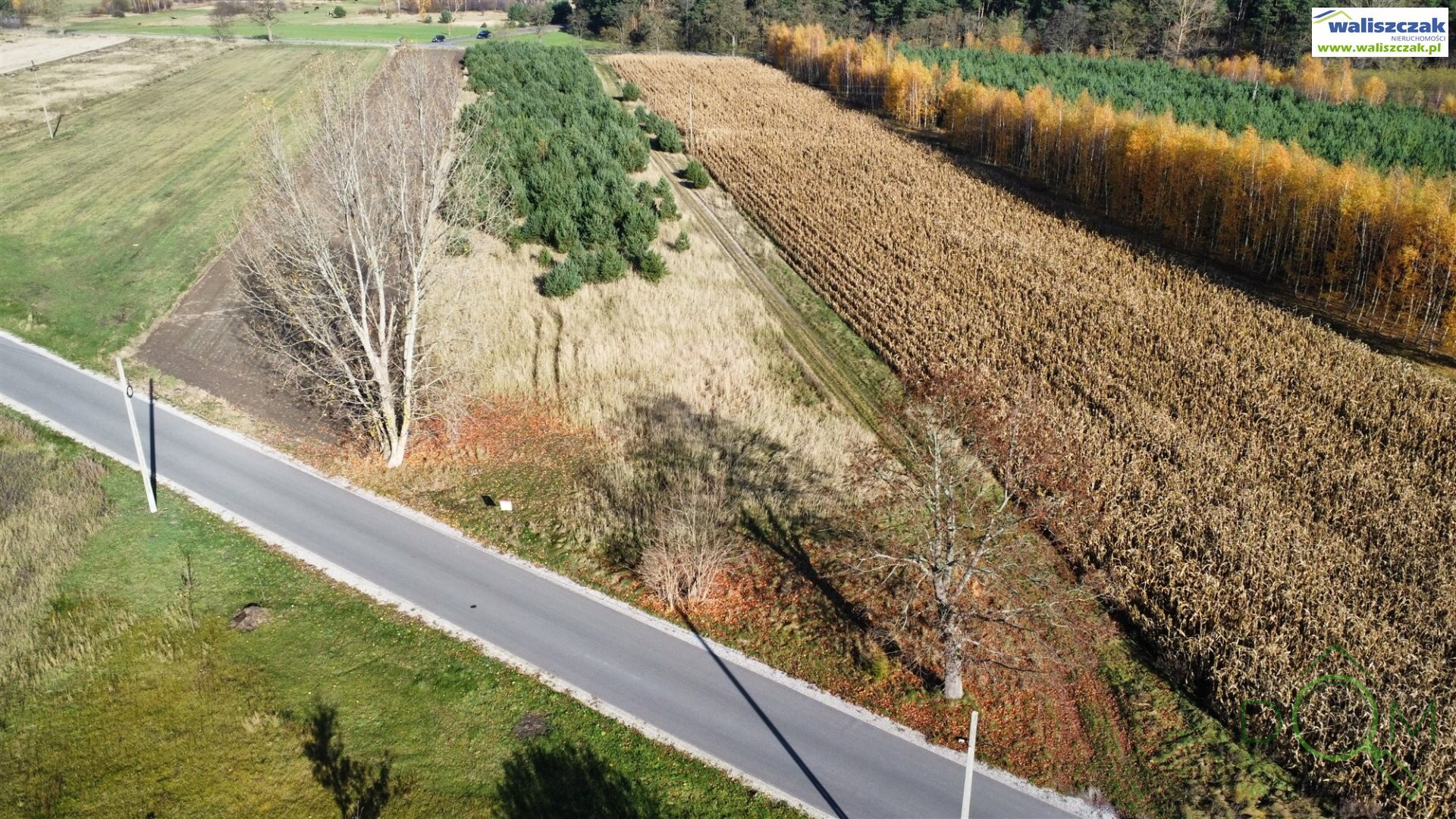 waliszczak_nieruchomosci_zs_GS-14673_8.jpg