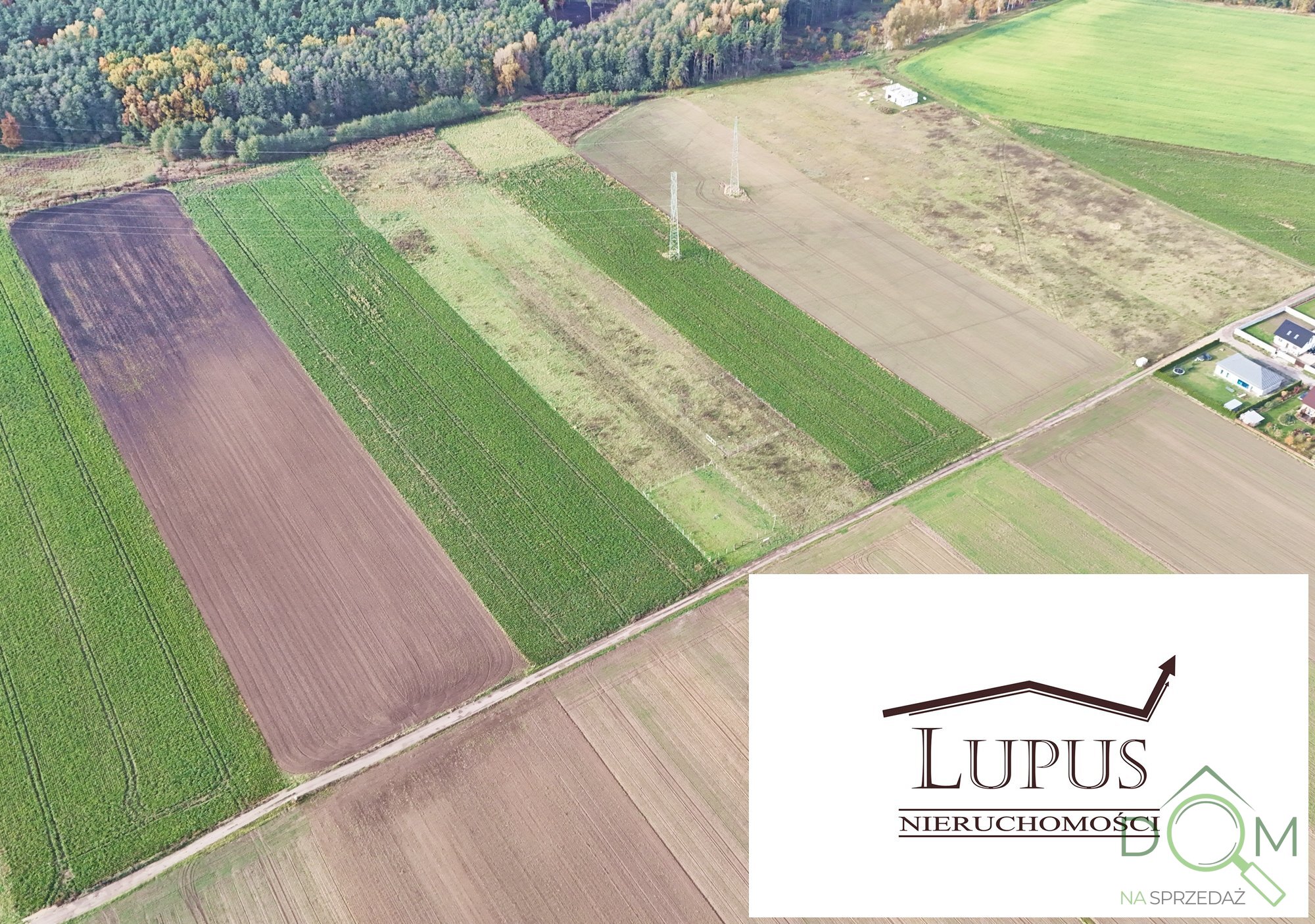 lupus_nieruchomosci_zs_2202_3.jpg