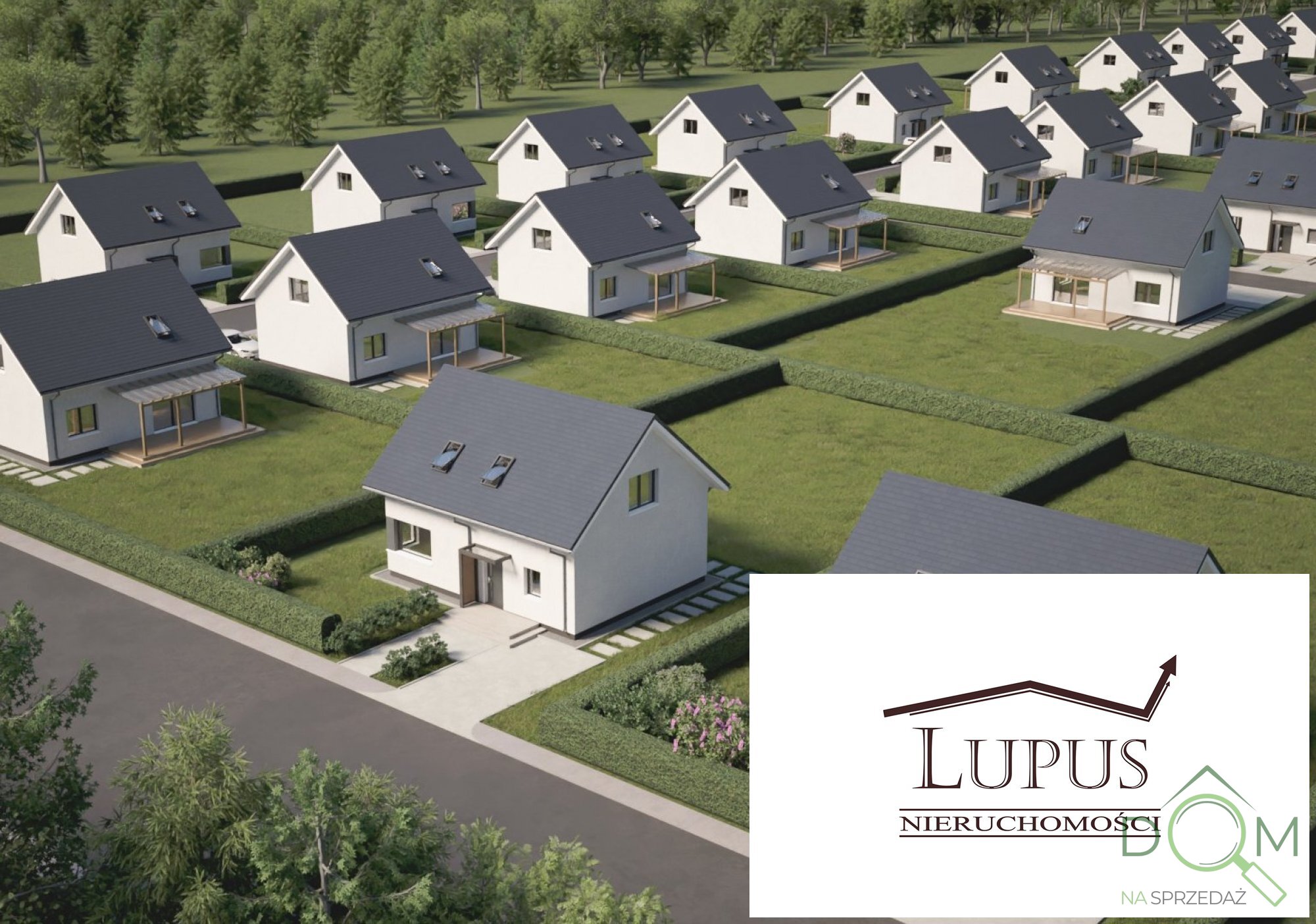 lupus_nieruchomosci_ds_2241_17.jpg