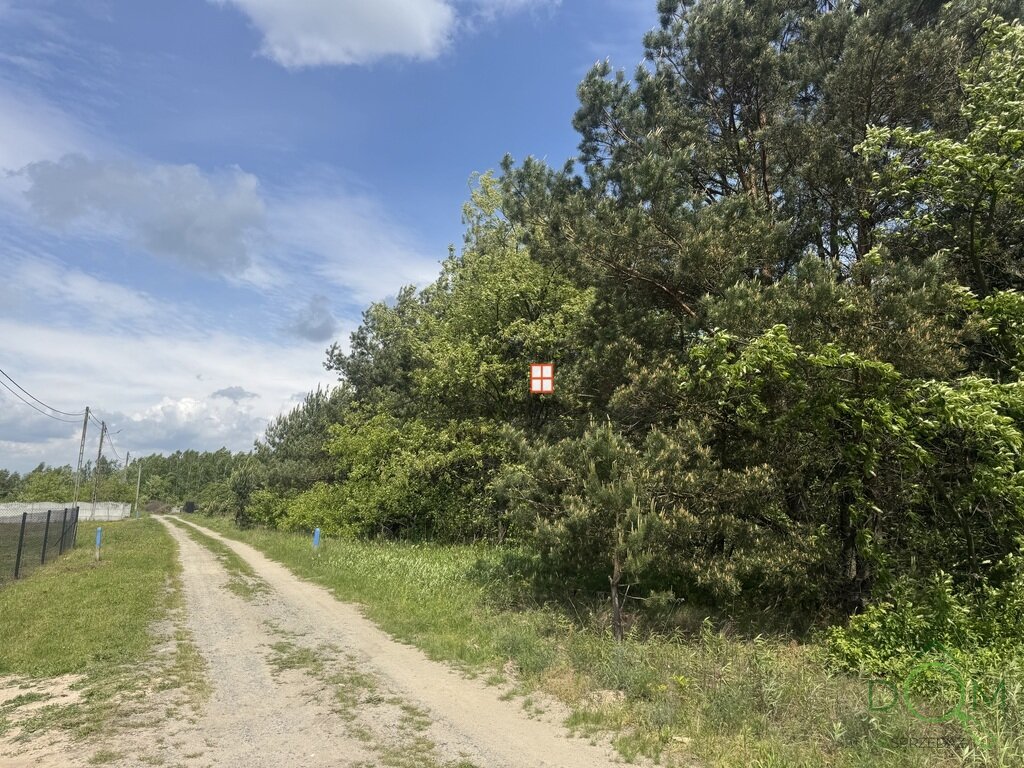 105750267.jpg
