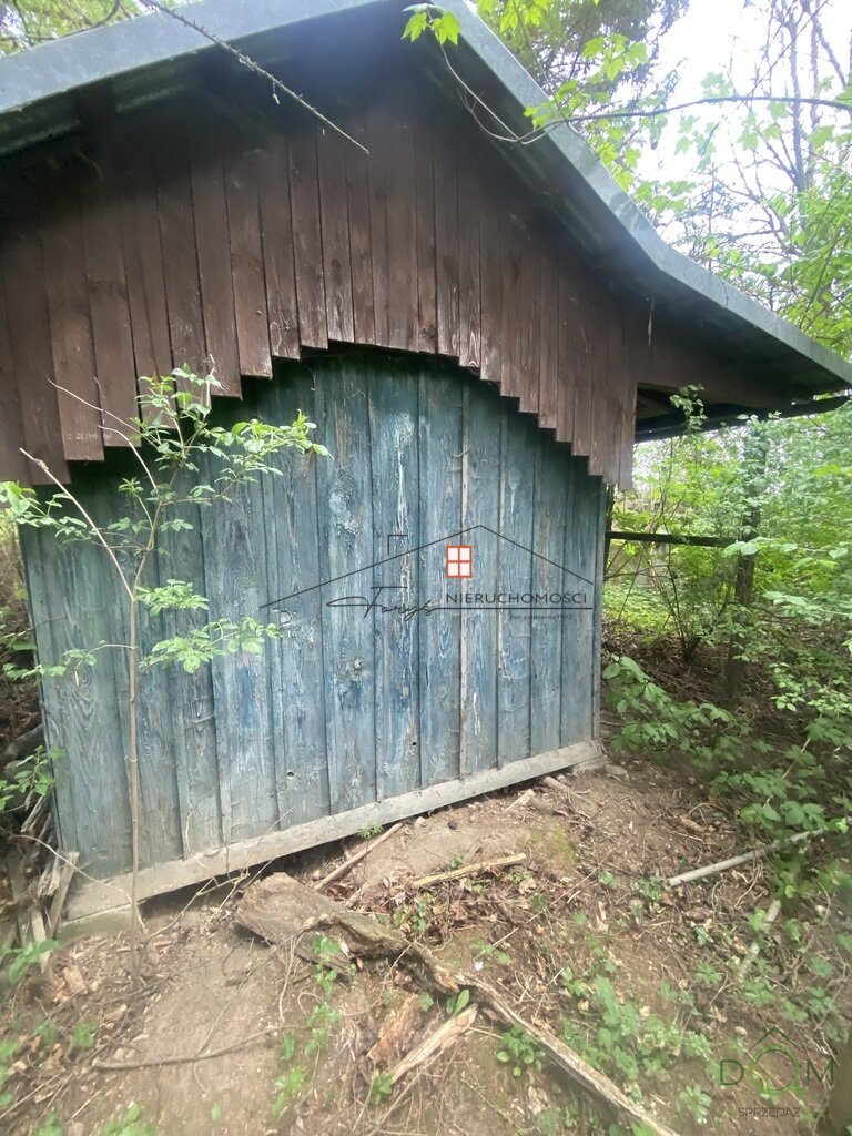 112507955.jpg