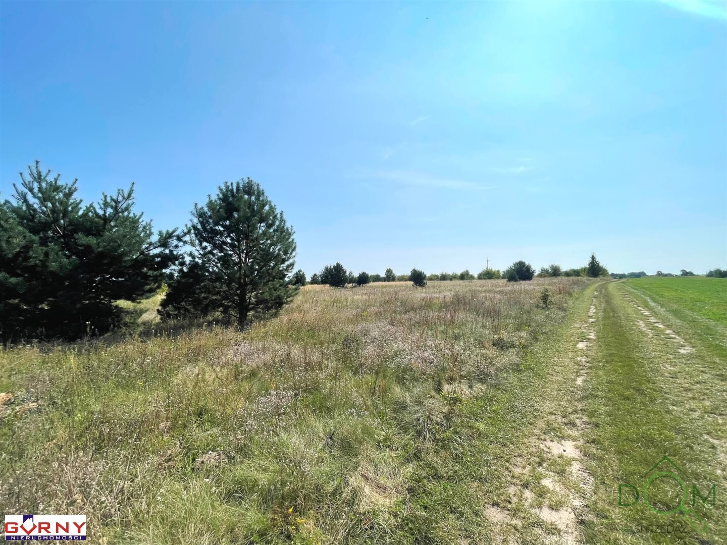 gorny_nieruchomosci_zs_NIG-GS-4469_5.jpg
