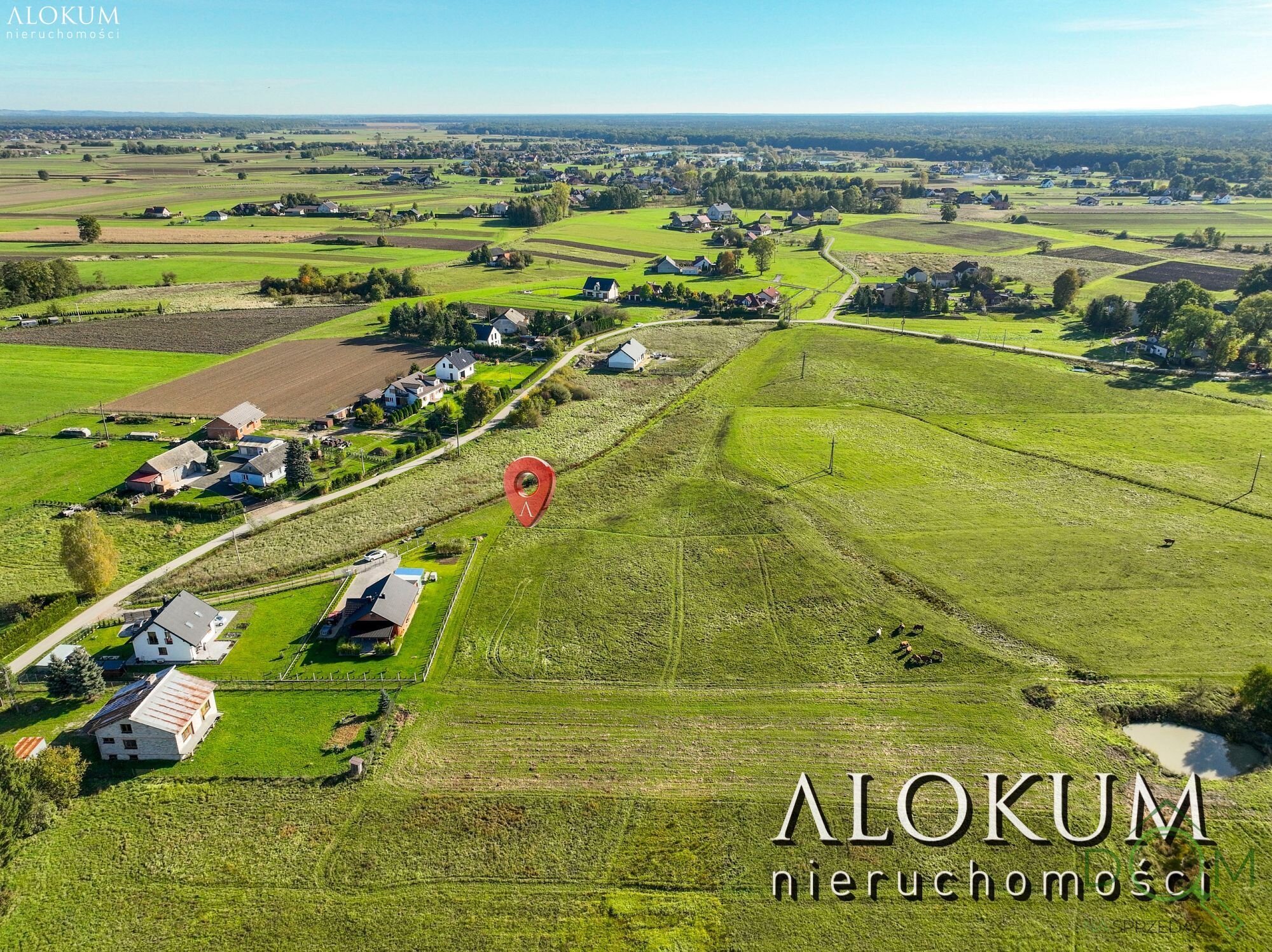 alokum_nieruchomosci_zs_3068_8.jpg