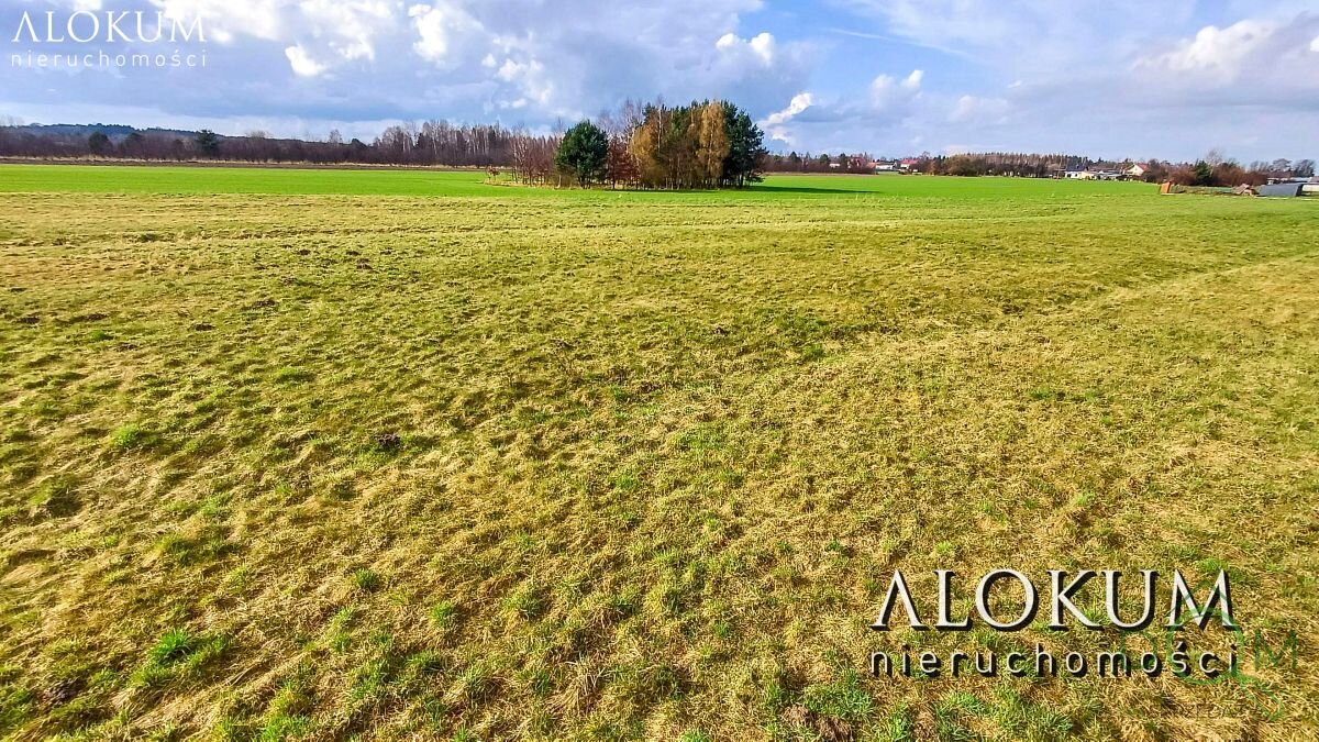alokum_nieruchomosci_zs_2443_3.jpg