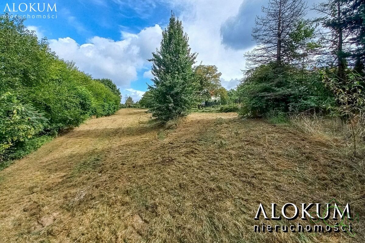 alokum_nieruchomosci_zs_2457_7.jpg