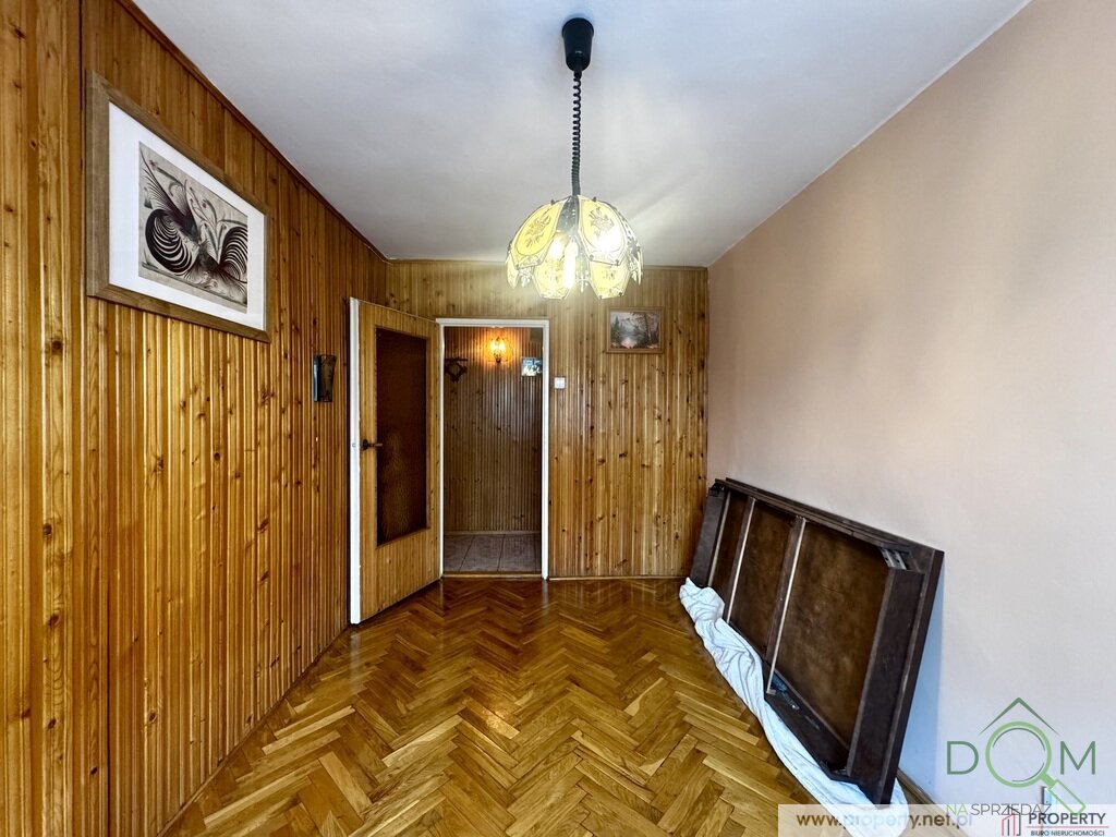 113897509.jpg