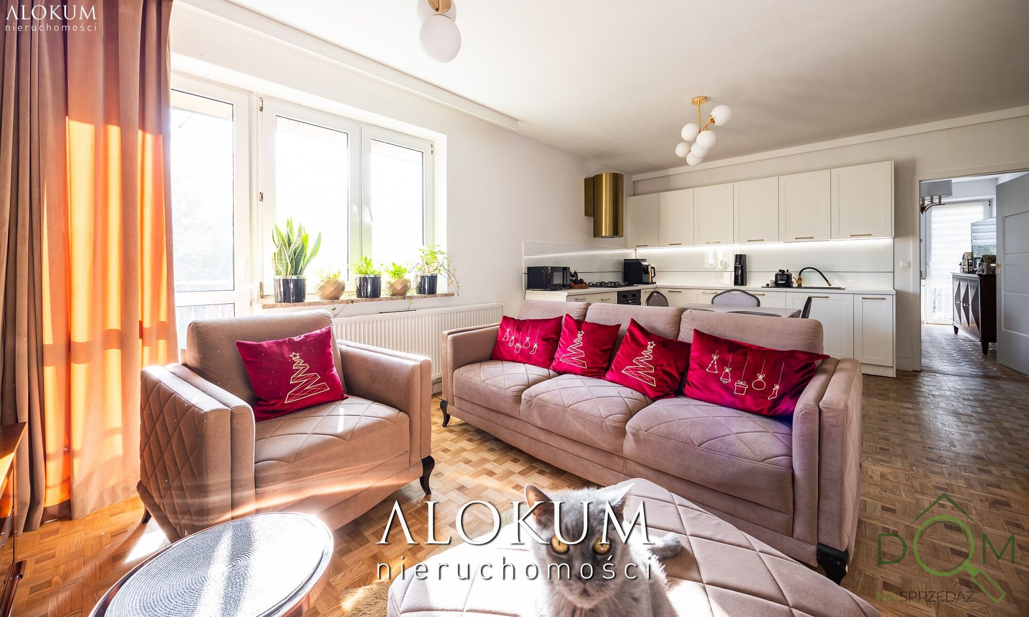 alokum_nieruchomosci_ls_3377_6.jpg