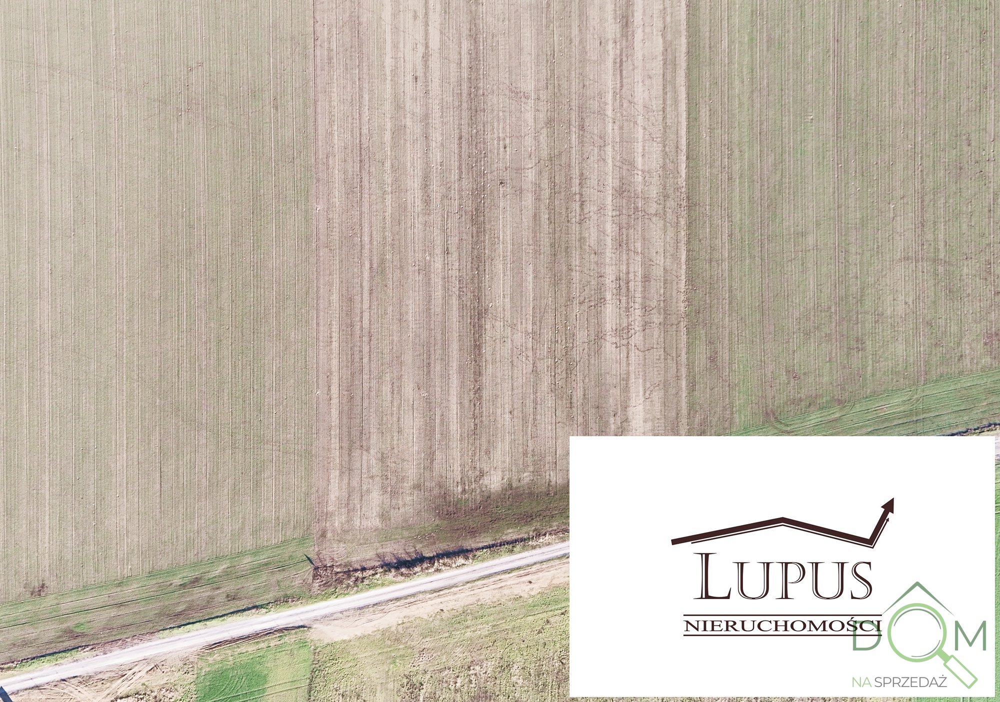 lupus_nieruchomosci_zs_2203_10.jpg