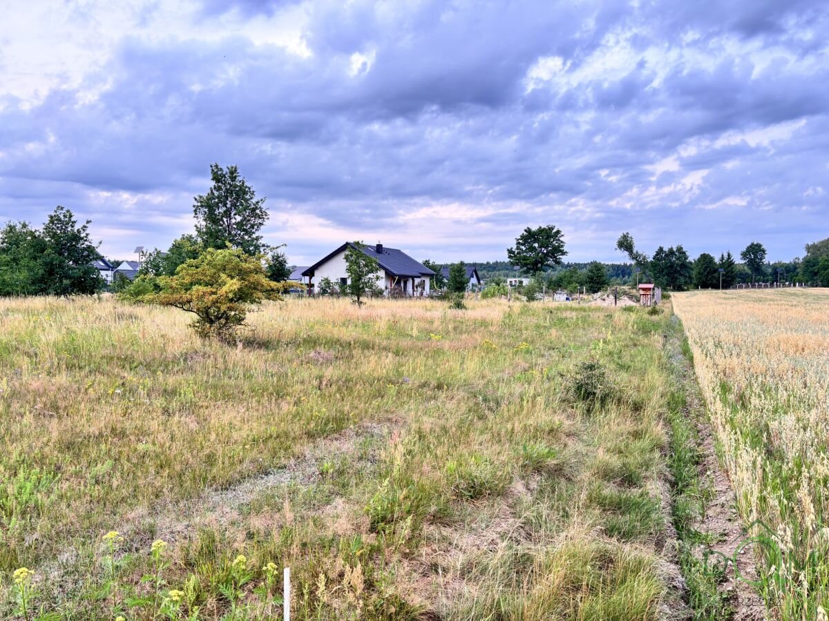 pozysk_nieruchomosci_zs_595403_5.jpg