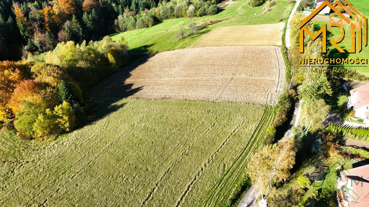 marcin_rzepka_nieruchomosci_zs_373_4.jpg