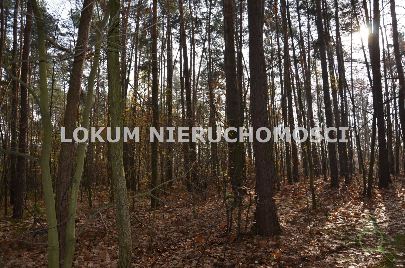 lokum_nieruchomosci_dt_zs_LOK-GS-1467_18.jpg
