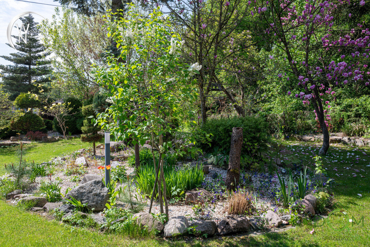 wschod_nieruchomosci_ds_561316_8.jpg