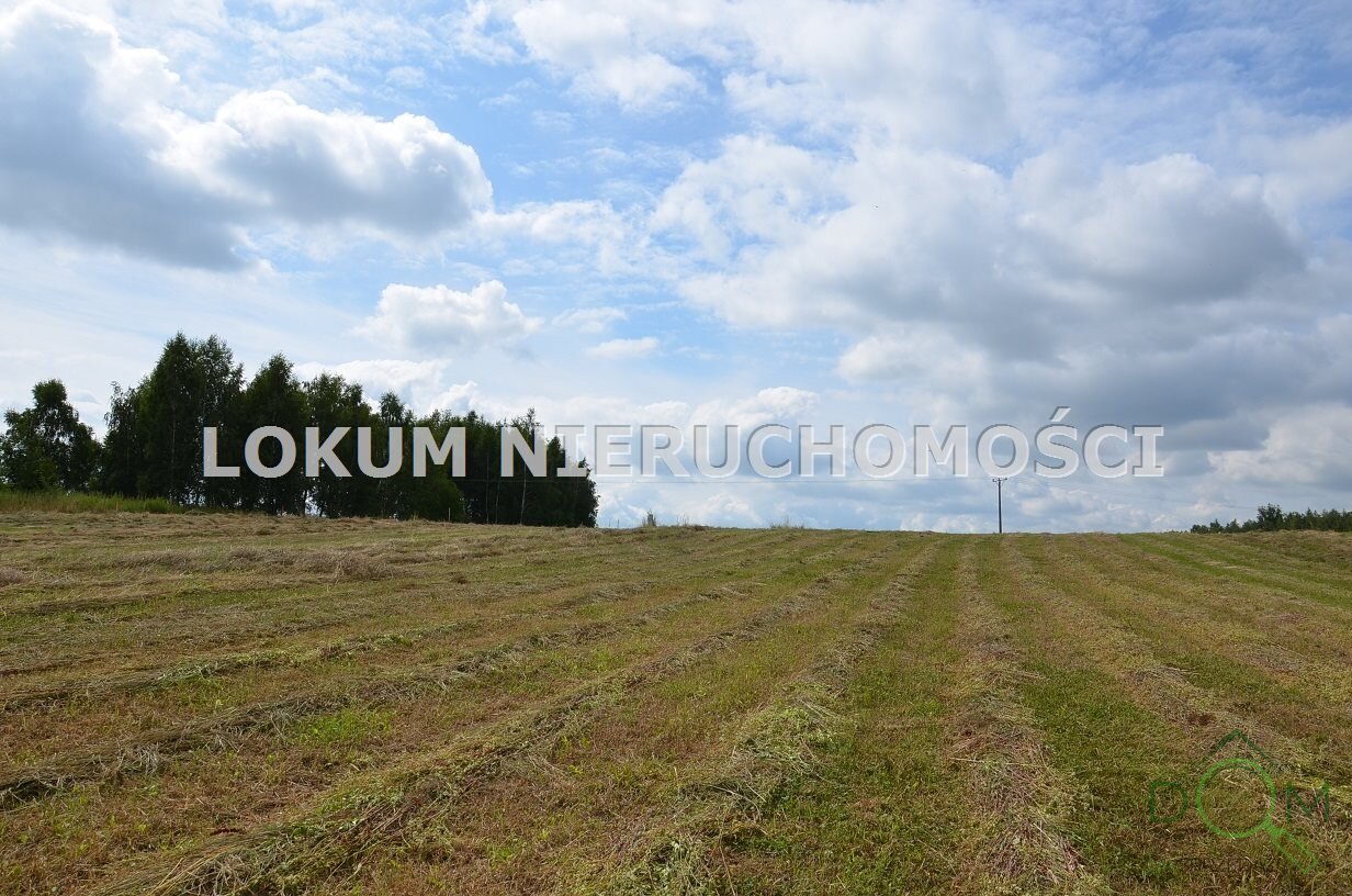 lokum_nieruchomosci_dt_zs_LOK-GS-1854_4.jpg