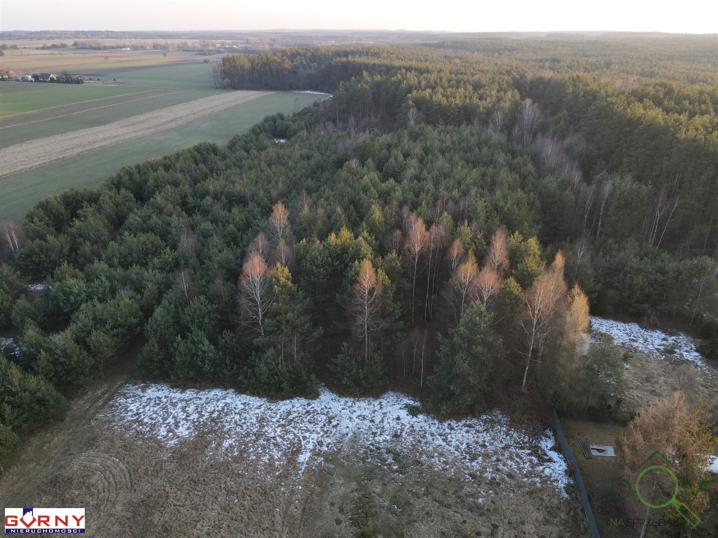 gorny_nieruchomosci_zs_NIG-GS-4004_5.jpg