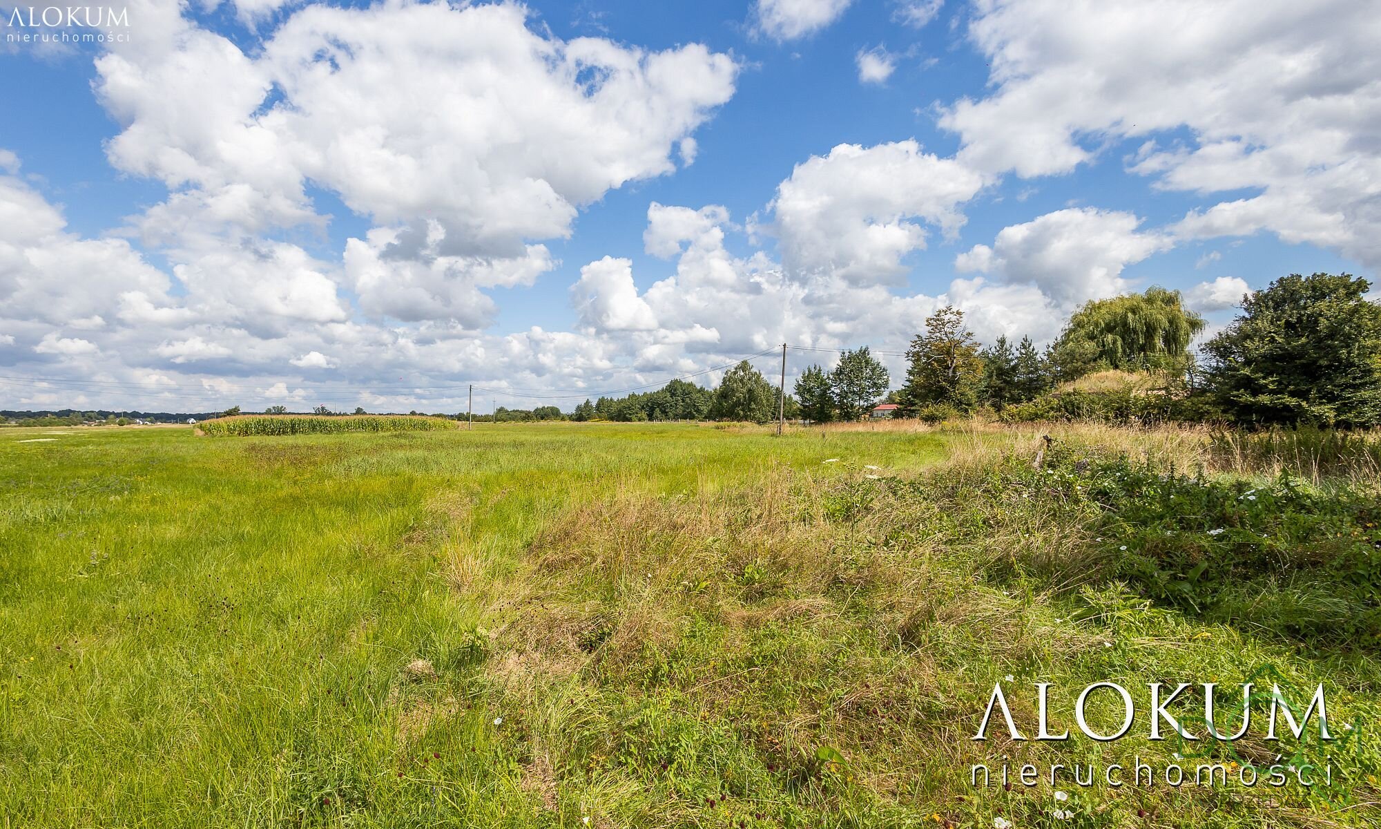 alokum_nieruchomosci_zs_2967_3.jpg