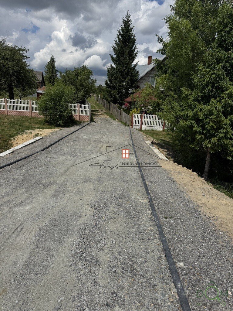 113147139.jpg