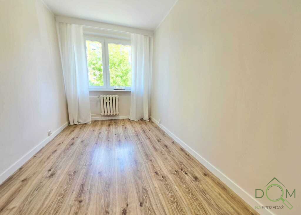 114275460.jpg