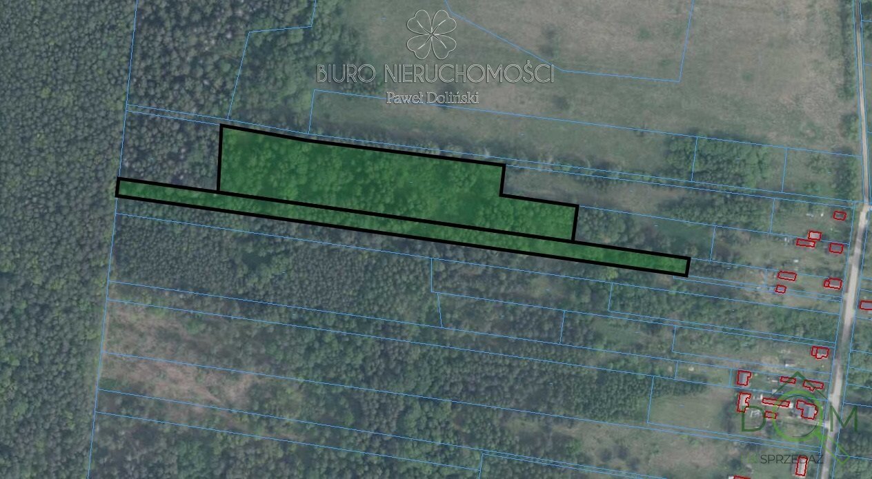 dolinscy_nieruchomosci_zs_PDN-GS-96_3.jpg
