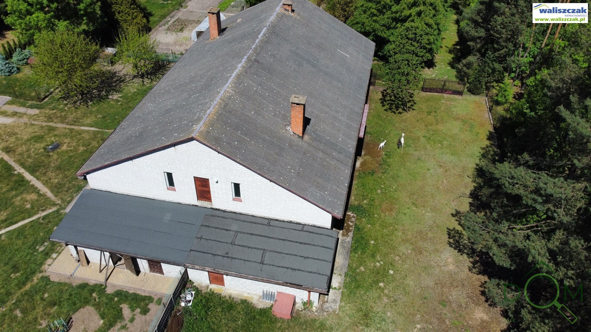 waliszczak_nieruchomosci_ls_LS-13760_13.jpg