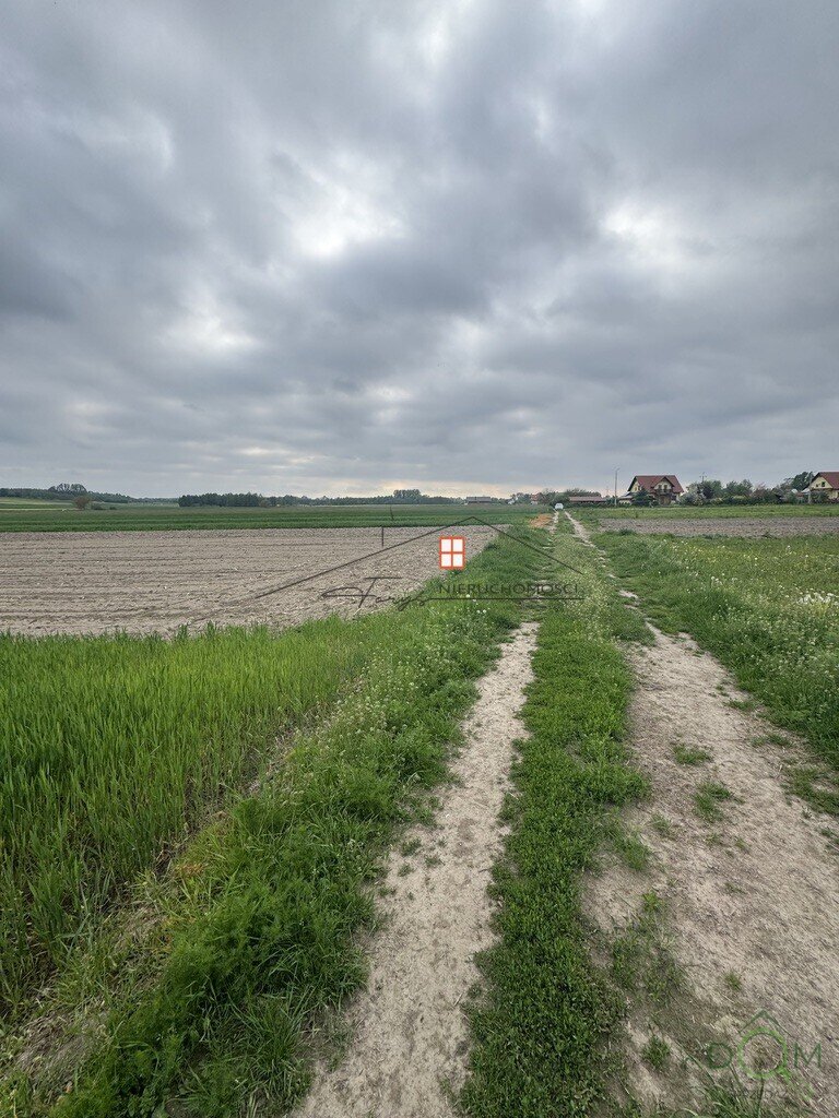 112677486.jpg