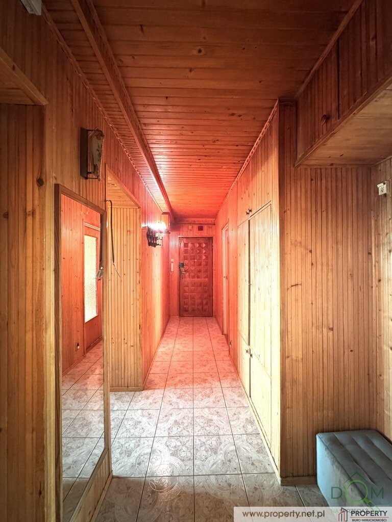 113897504.jpg