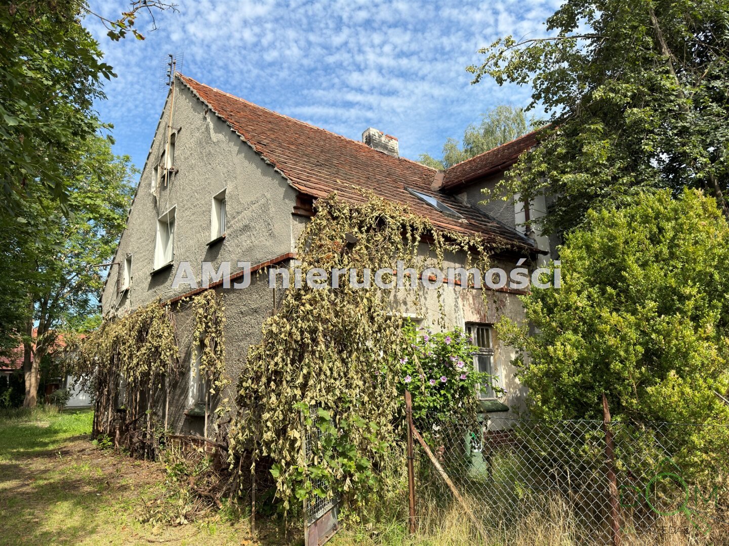 amj_nieruchomosci_ds_AMJ-DS-250_8.jpg