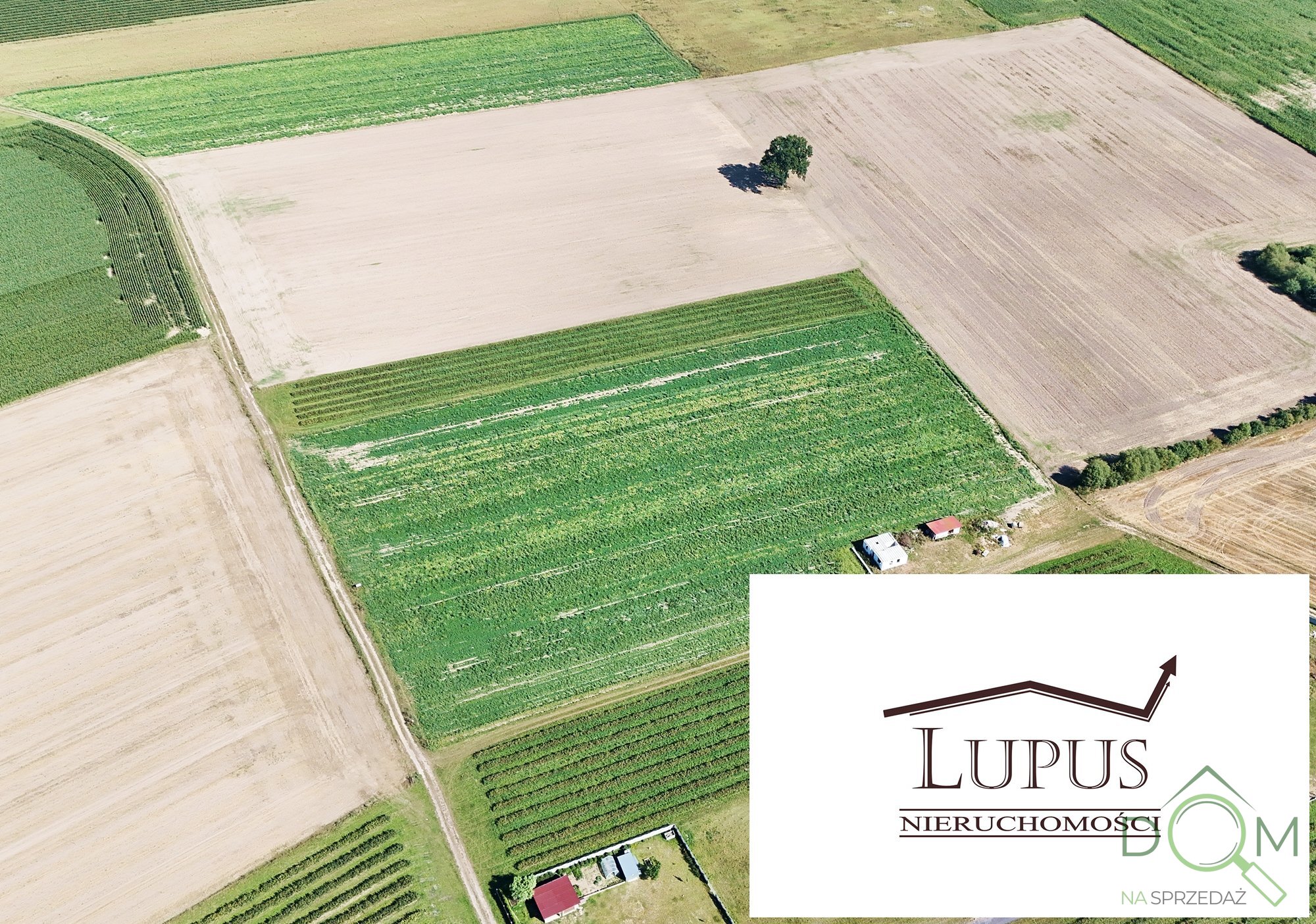 lupus_nieruchomosci_zs_2197_5.jpg