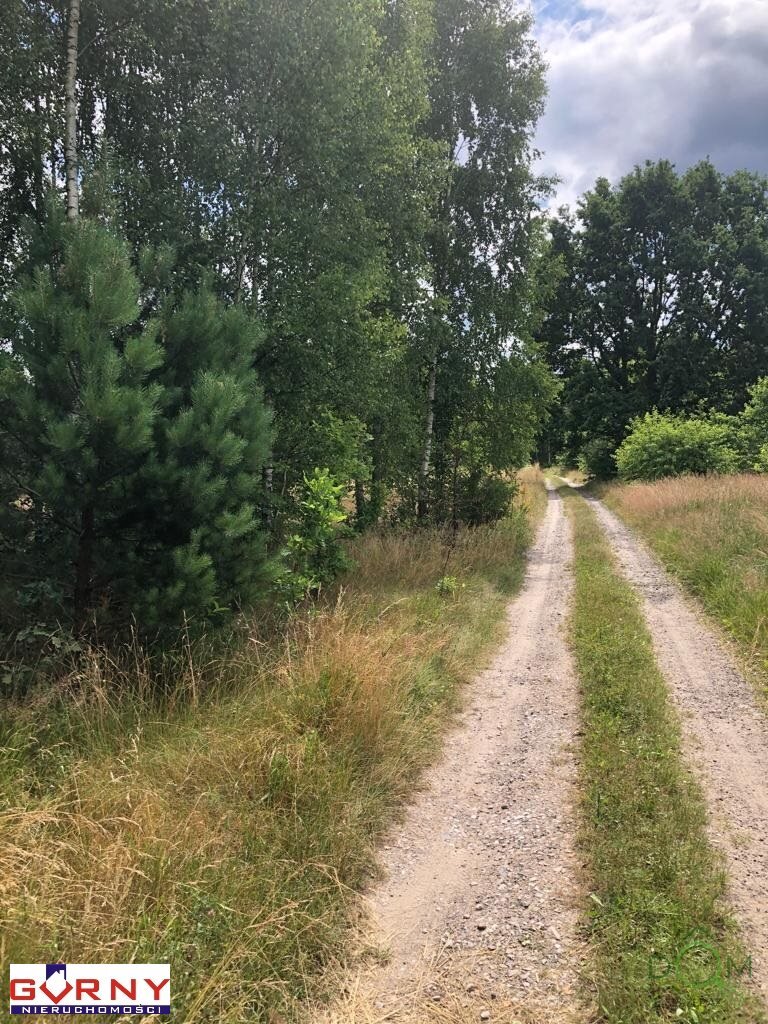 gorny_nieruchomosci_zs_NIG-GS-4276_4.jpg