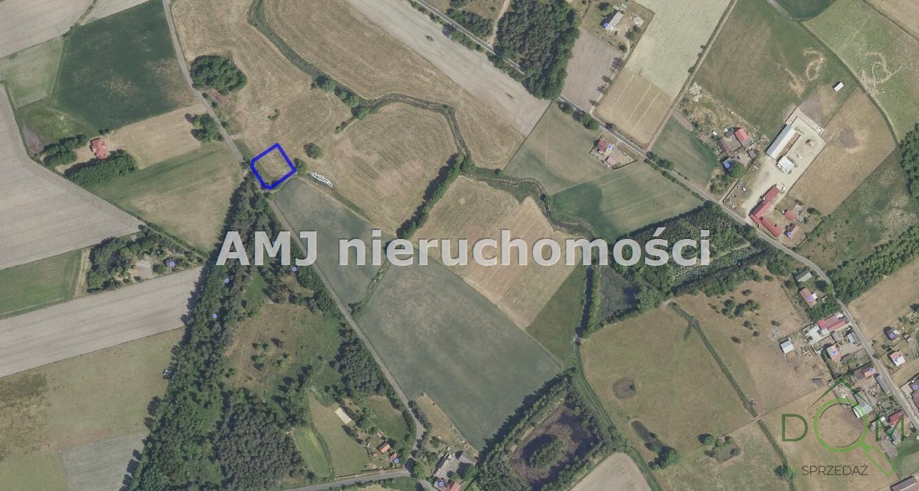 amj_nieruchomosci_zs_AMJ-GS-242-1_10.jpg