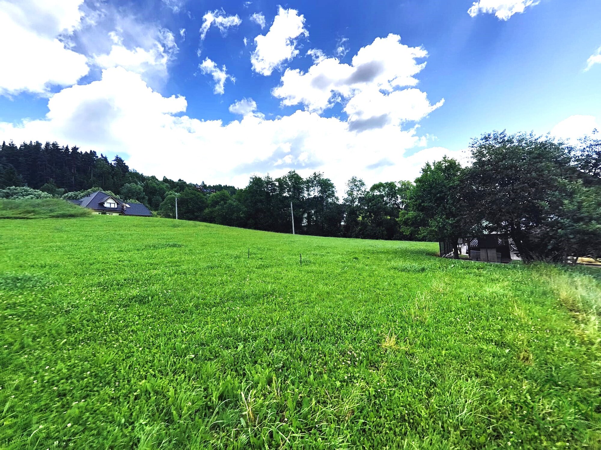 Zdjęcie WhatsApp 2025-06-25 o 15.32.08_c0e8a78a.jpg