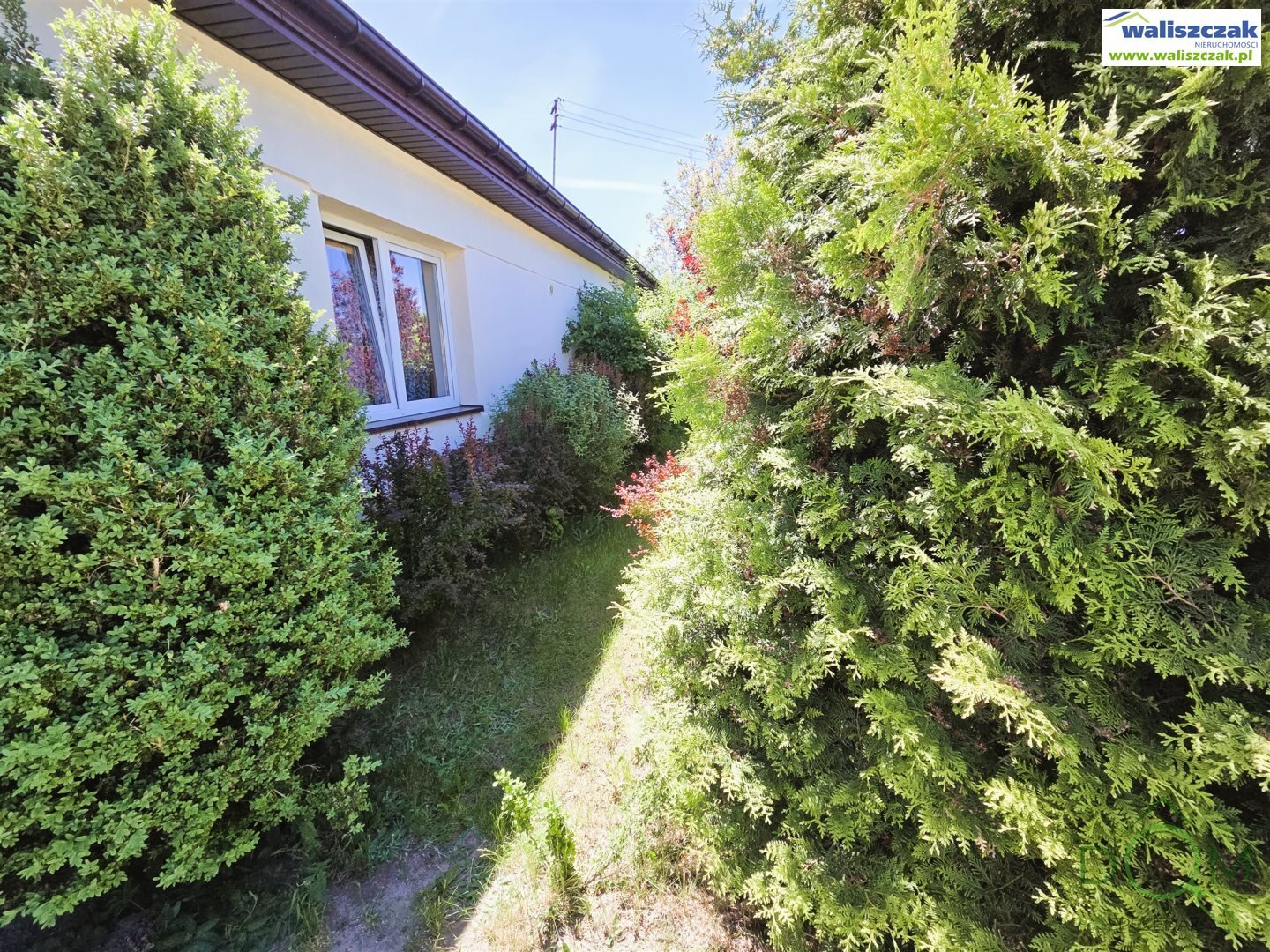 waliszczak_nieruchomosci_ds_DS-14919_1.jpg