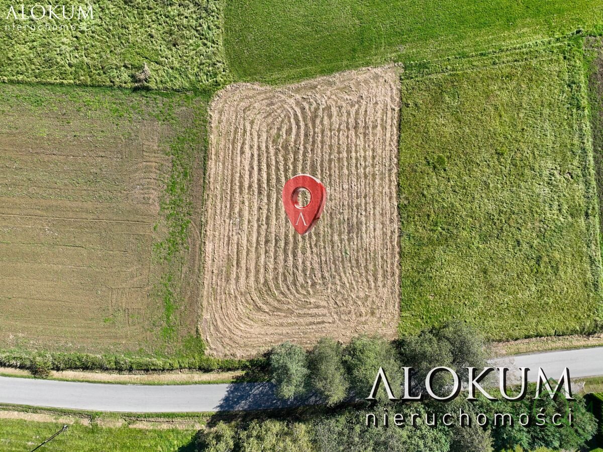 alokum_nieruchomosci_zs_2974_4.jpg