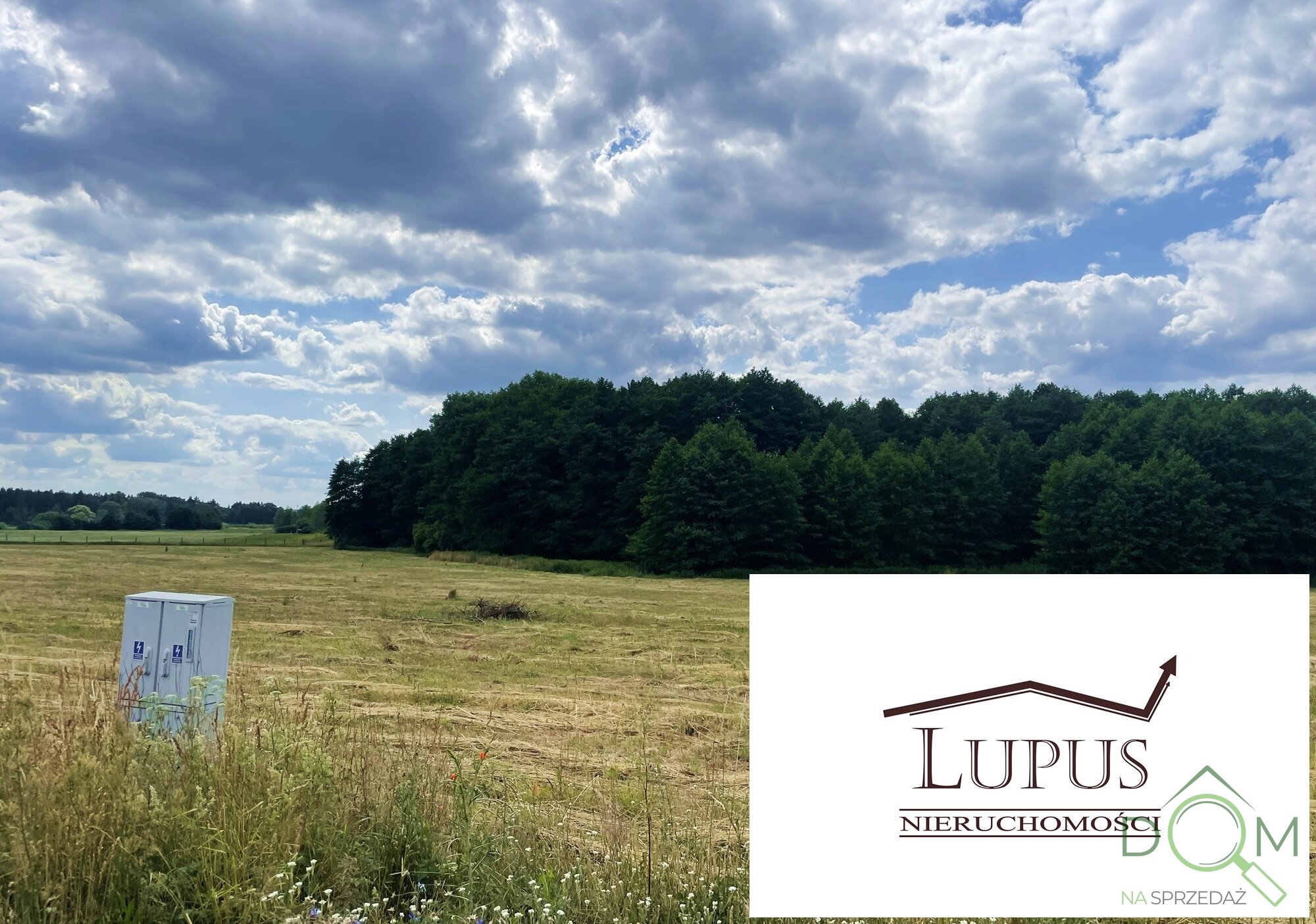 lupus_nieruchomosci_zs_2192_12.jpg