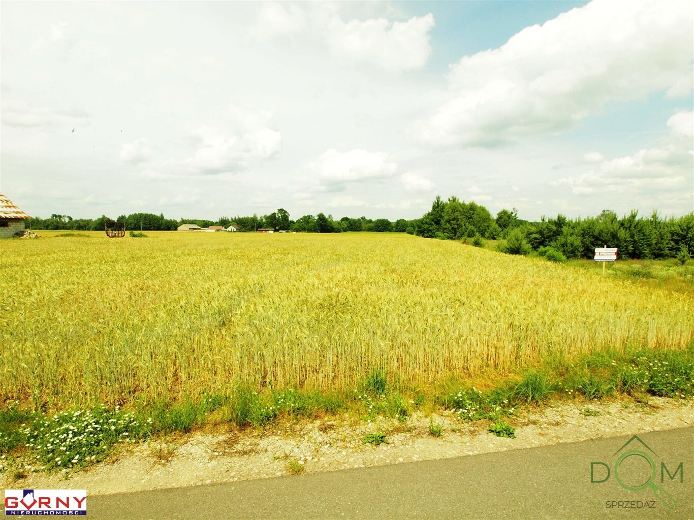 gorny_nieruchomosci_zs_NIG-GS-3633_4.jpg