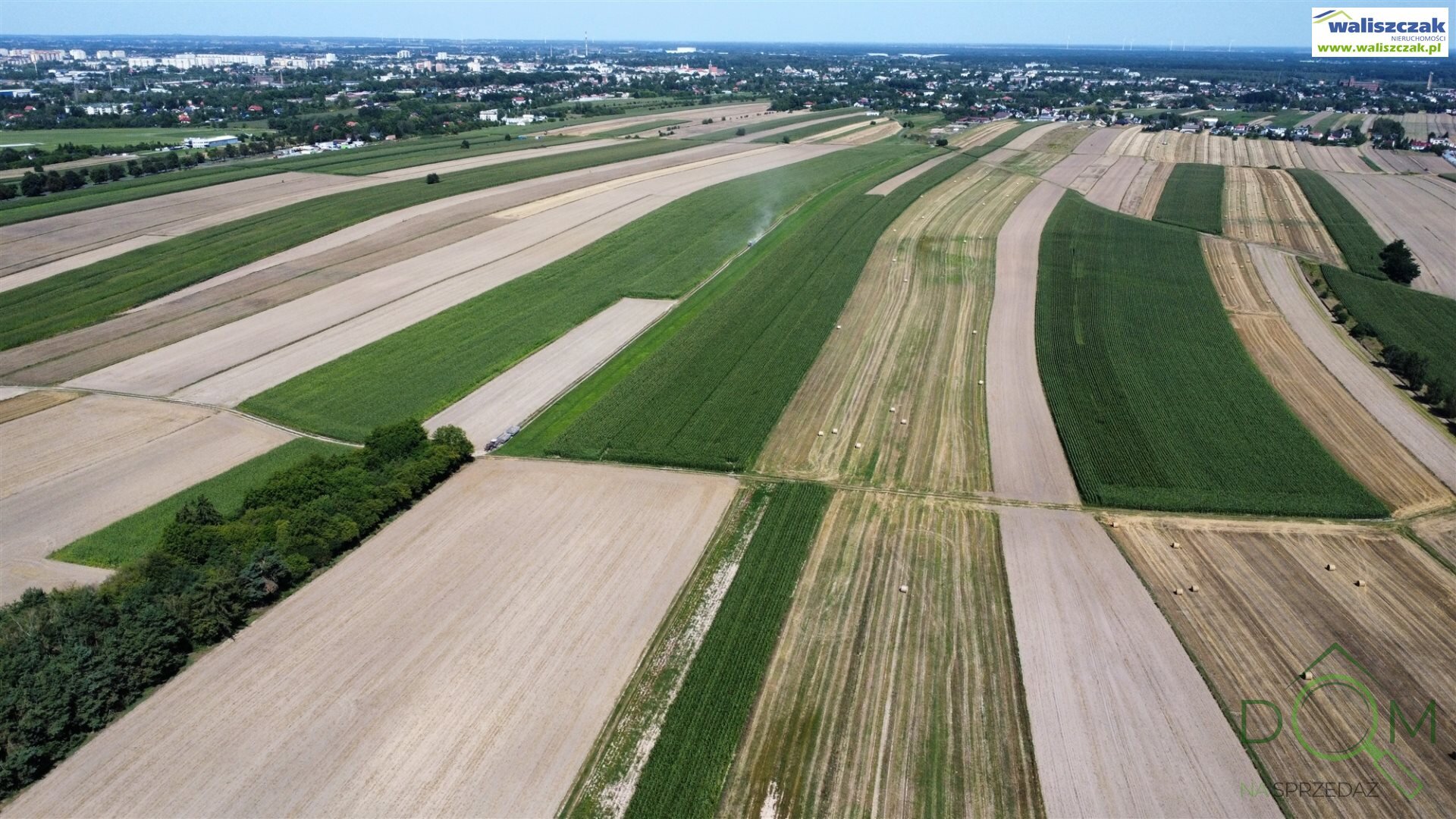 waliszczak_nieruchomosci_zs_GS-14815_3.jpg