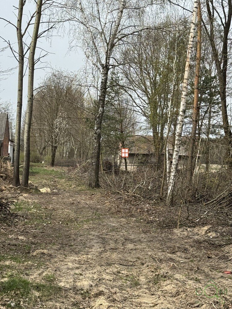 111916683.jpg