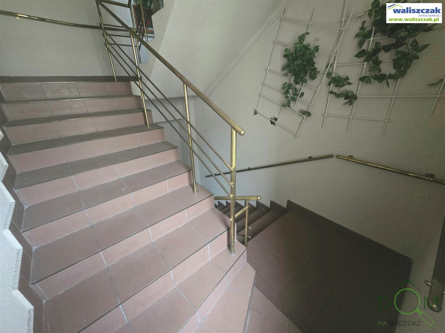waliszczak_nieruchomosci_ls_BS-14634-2_4.jpg