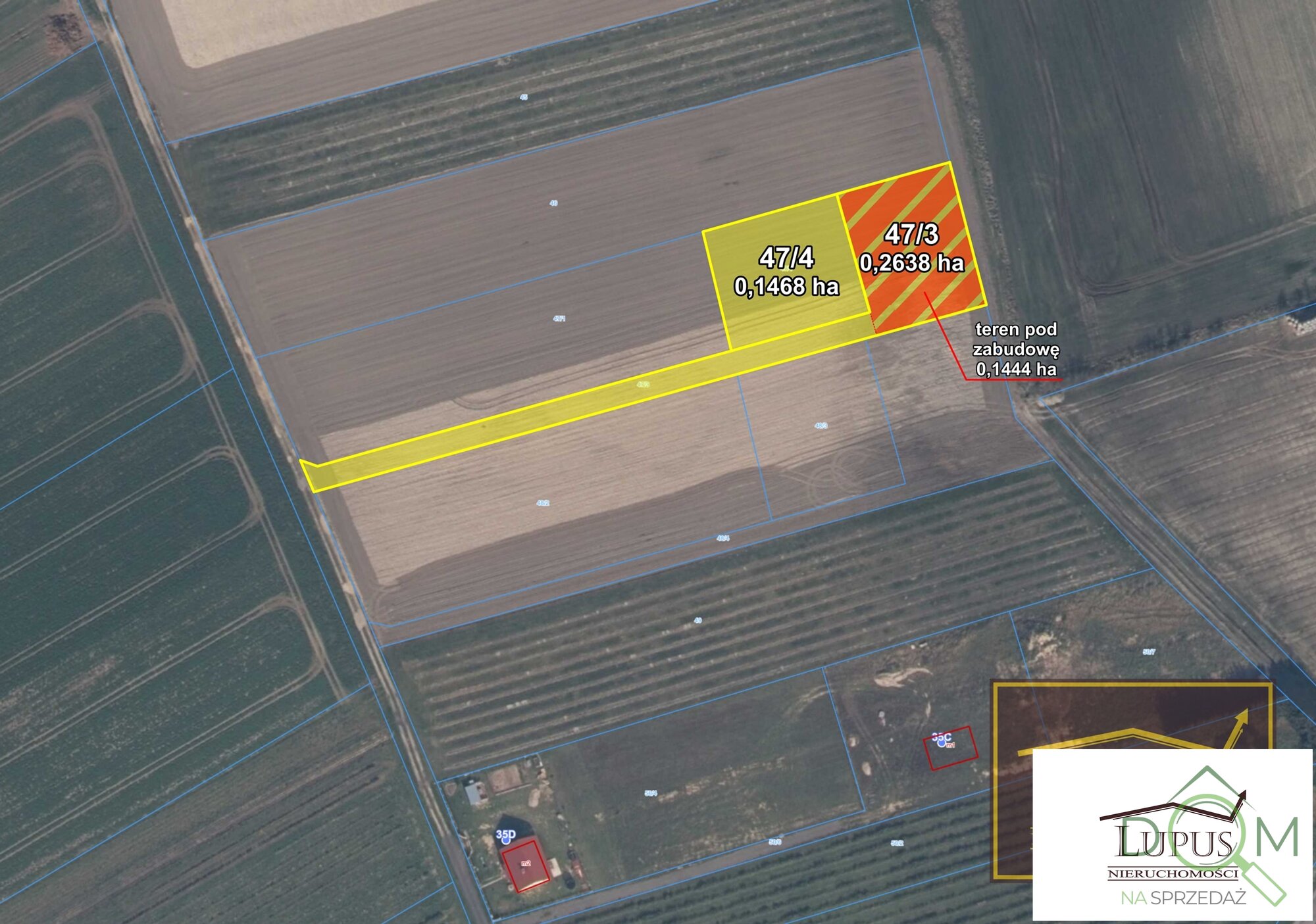 lupus_nieruchomosci_zs_2197_2.jpg