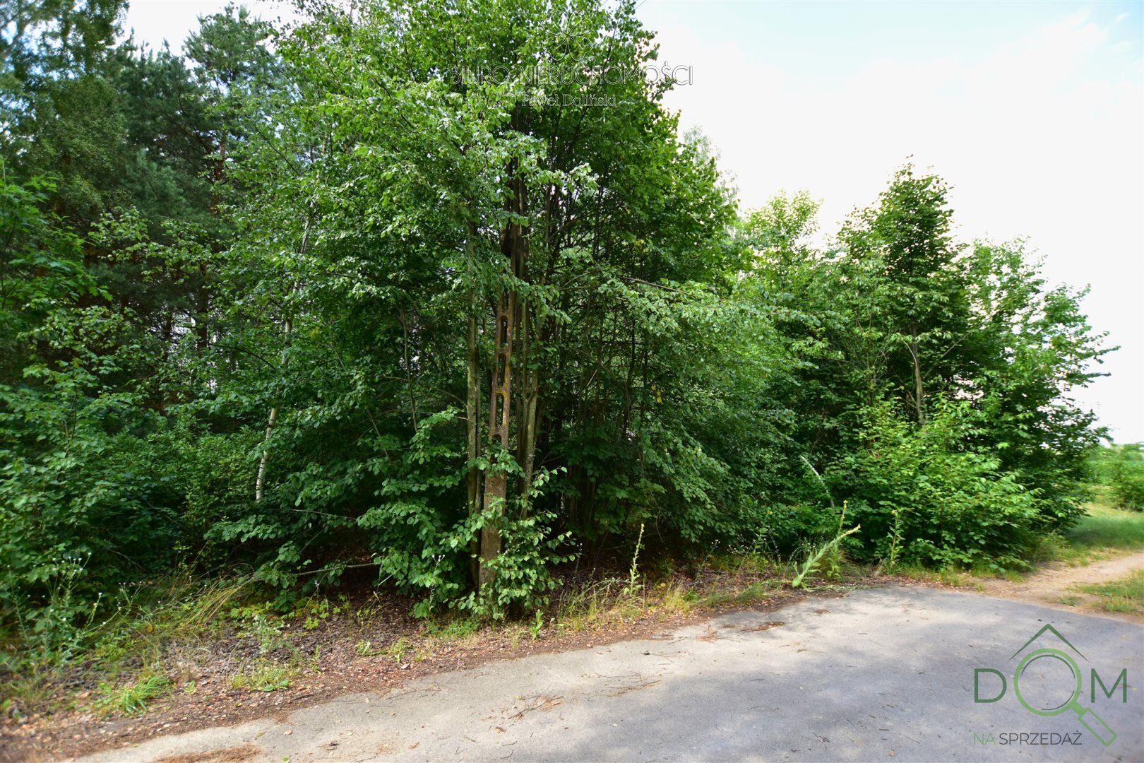 dolinscy_nieruchomosci_zs_PDN-GS-64-1_6.jpg