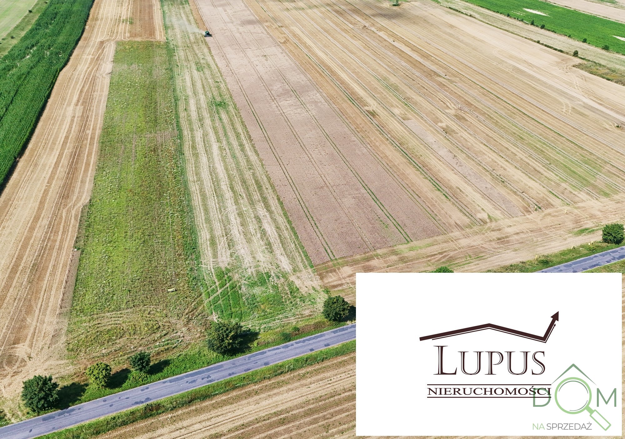 lupus_nieruchomosci_zs_2199_4.jpg
