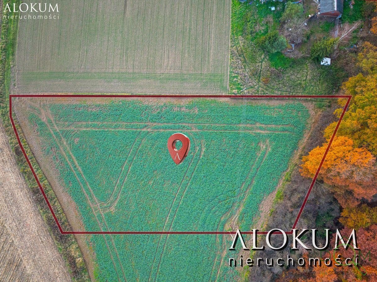 alokum_nieruchomosci_zs_2219_6.jpg